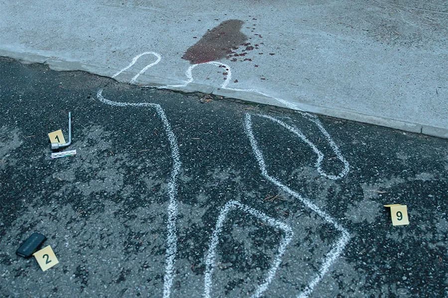 Co robić po kryminalistyce? Zawody, perspektywy i dalsze możliwości rozwoju