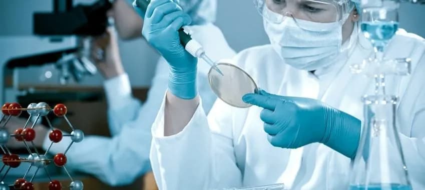 Jak długo policja analizuje wyniki badania krwi na narkotyki: fakty i terminy