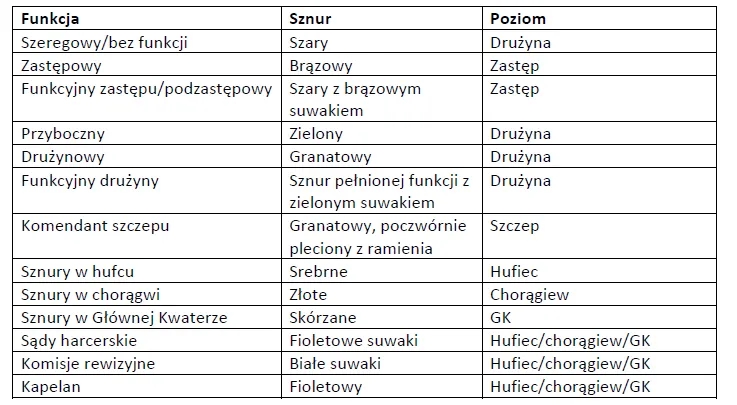 Komendant jednej z jednostek w harcerstwie - kluczowe informacje i tytuły