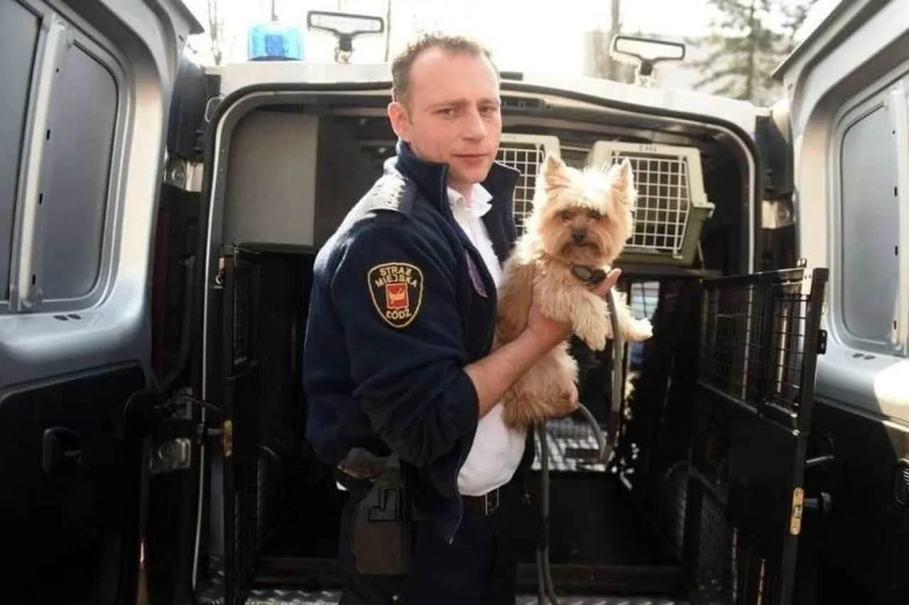 Komendant straży miejskiej w Łodzi - Patryk Polit i jego inicjatywy