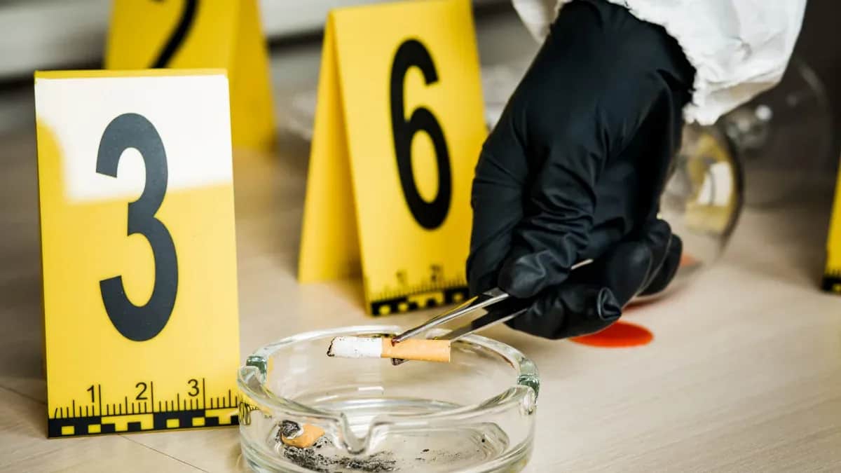 Kryminalistyka ile zarabia? Sprawdź zarobki i perspektywy kariery