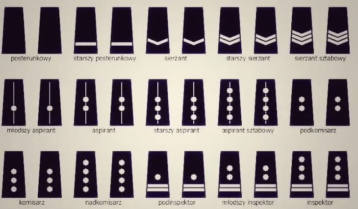 Ile naprawdę zarabia starszy sierżant w policji? Sprawdź, czy to się opłaca!