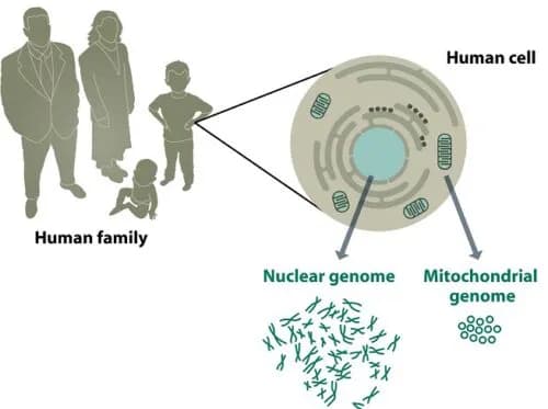 Od kiedy badania DNA w kryminalistyce zmieniły oblicze śledztw?